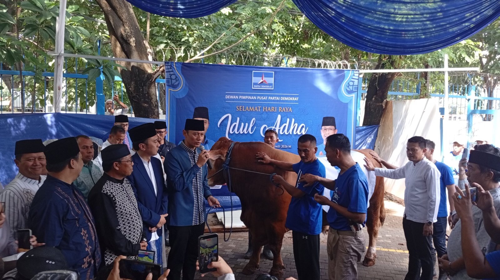 Partai Demokrat Potong 63 Ekor Sapi Kurban, AHY: Semoga Bermanfaat bagi Masyarakat